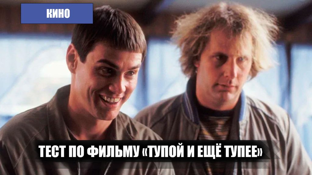 Тупой и еще тупее - тест на 10 вопросов